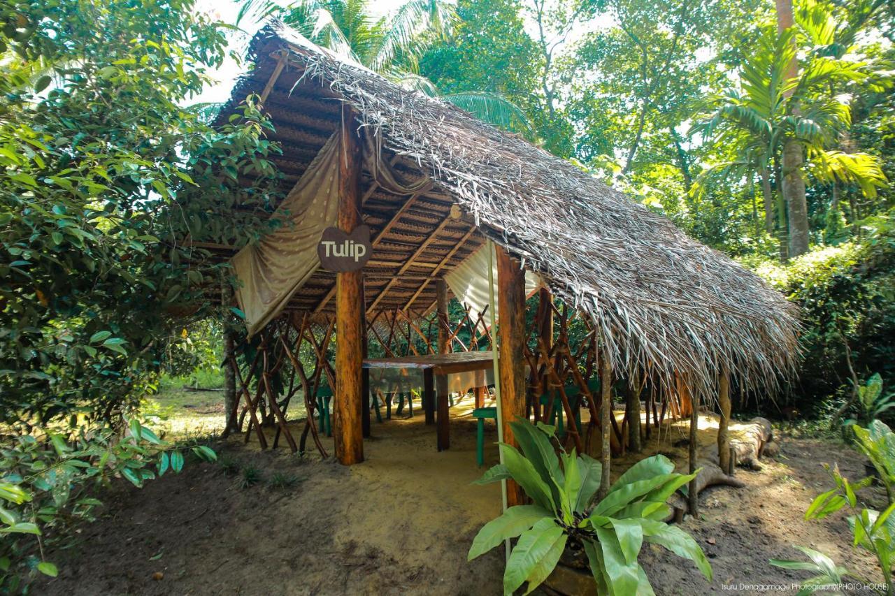 Jungle Paradise ガル エクステリア 写真