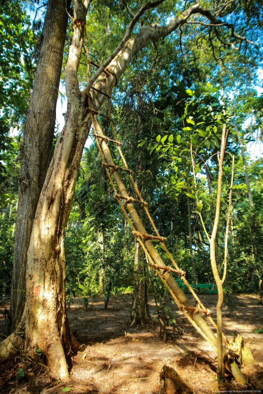 Jungle Paradise ガル エクステリア 写真